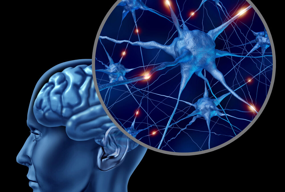 Illustration of a human head in profile with a magnified view showing active neurons and neural connections in the brain.